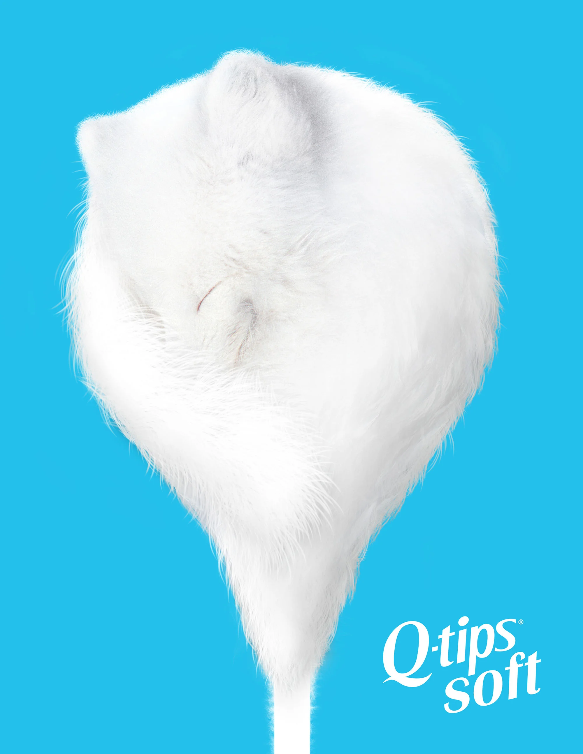QTip_MagAd_SoftAnimal_Fox.jpg