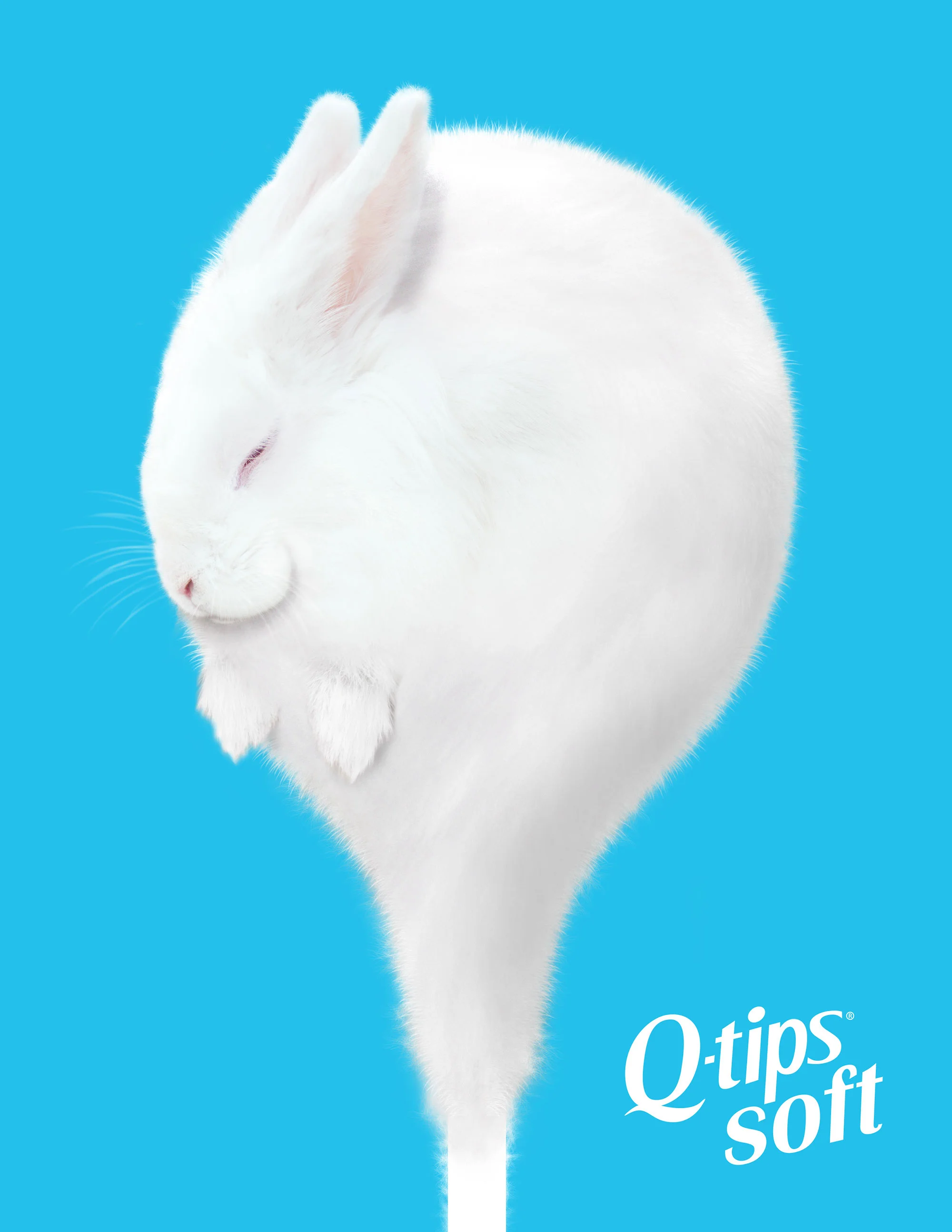 QTip_MagAd_SoftAnimal_Rabbit.jpg