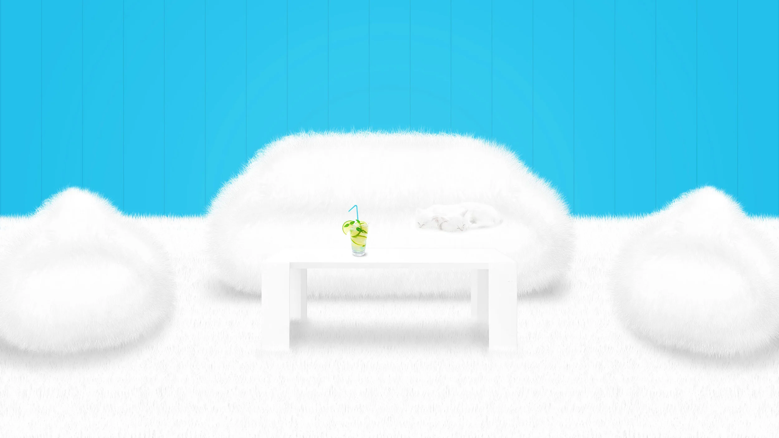 QTip_SoftStation1.jpg