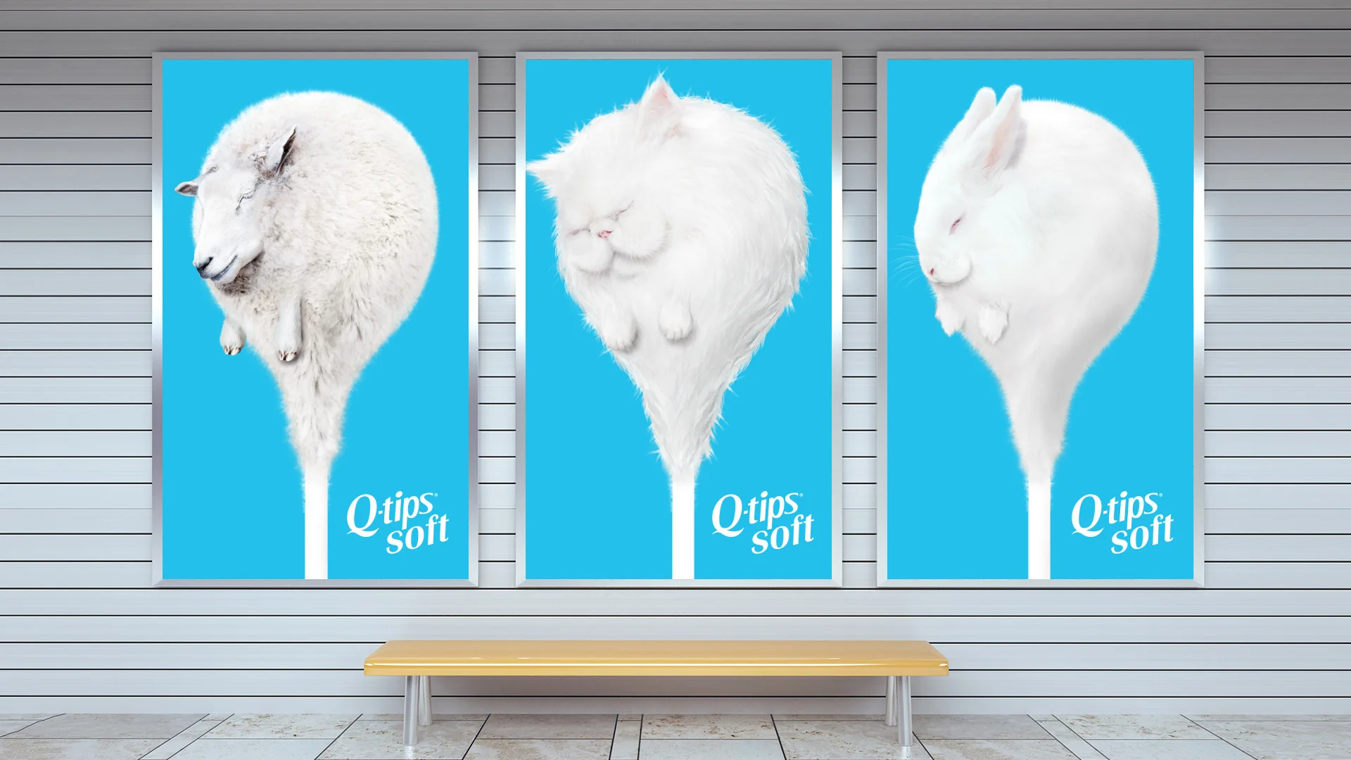 Qtip_Subway.jpg