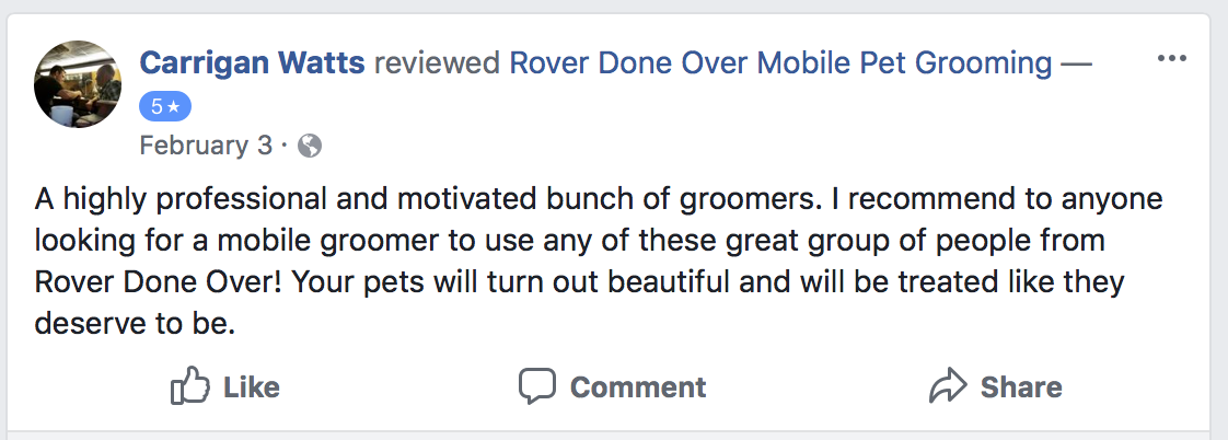 rover done over mobile dog grooming