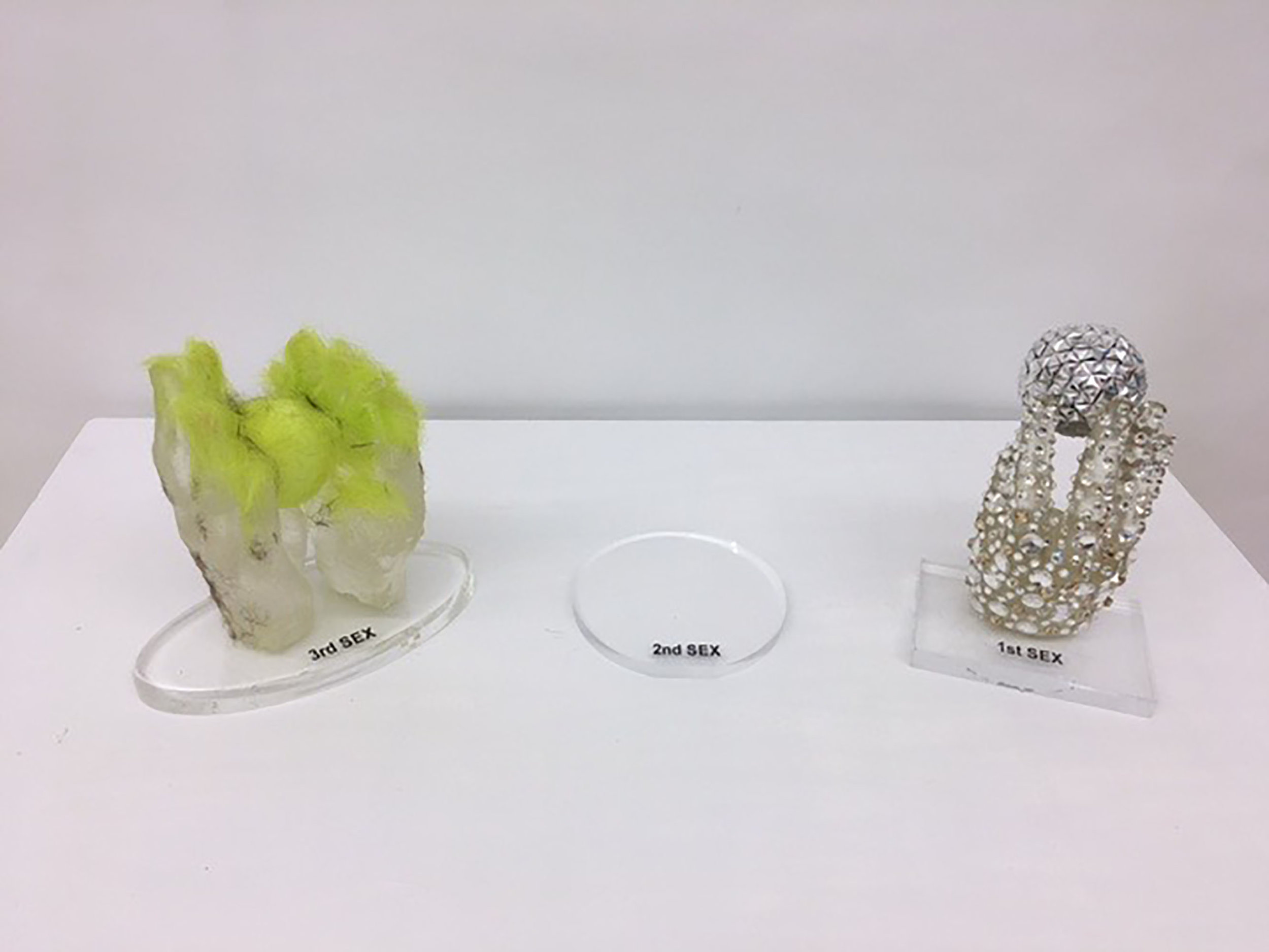 Hands Project Crystal and Flocking 300 dpi.jpg