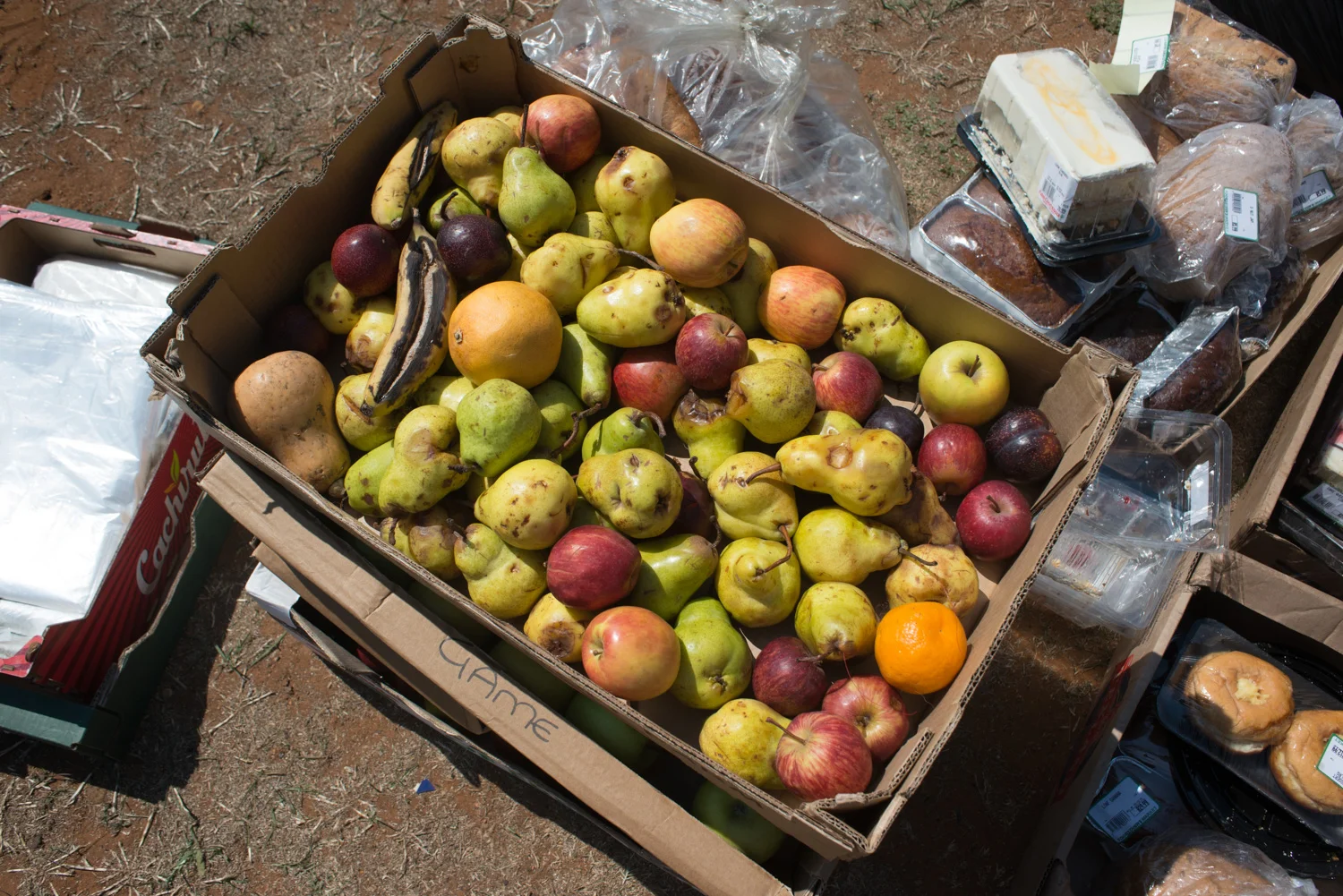 A Model for Food Efficiency