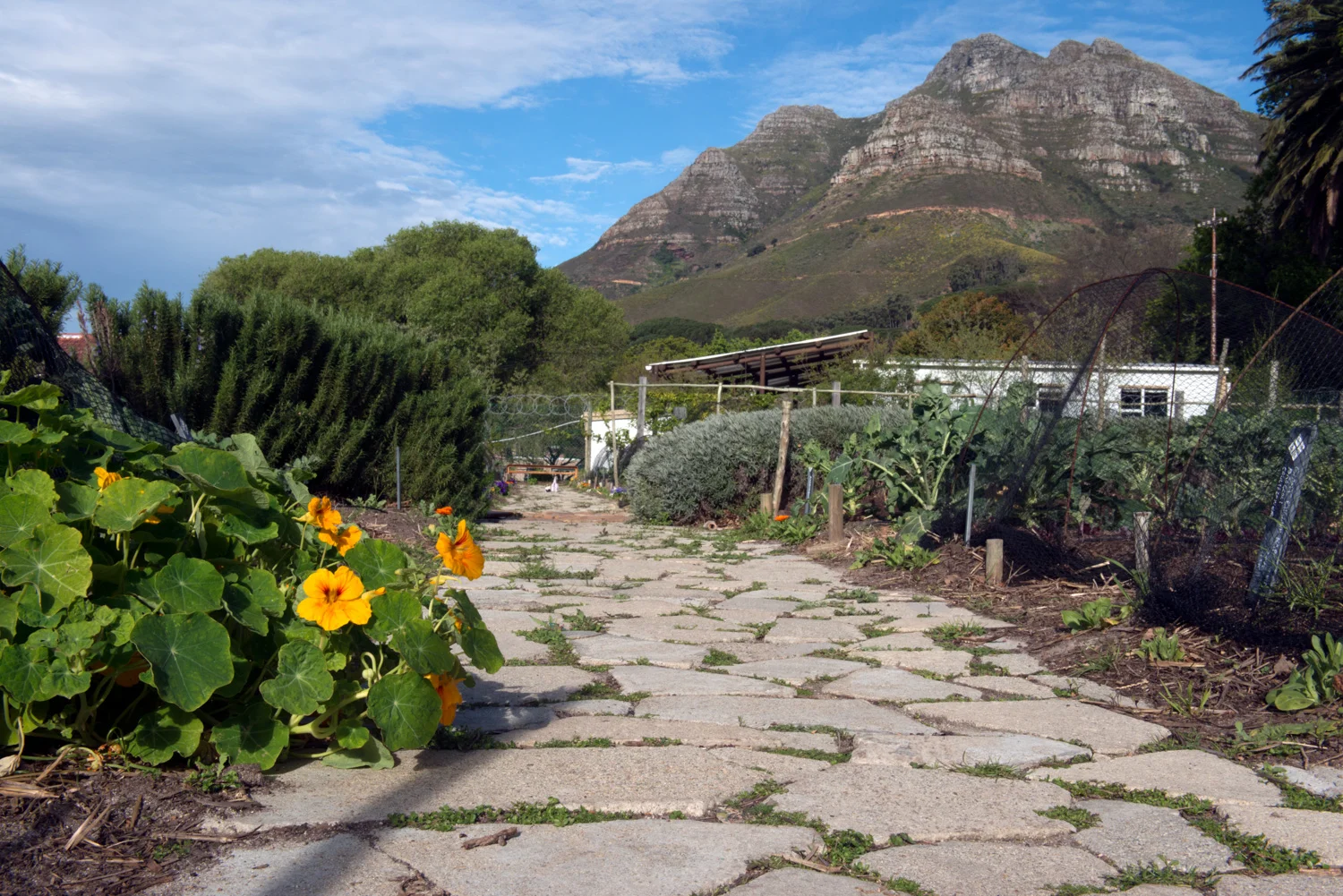 Oranjezicht City Farm