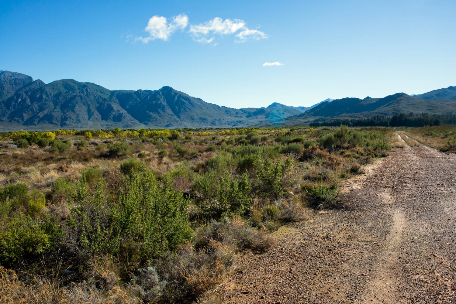 South African Landscape #2887