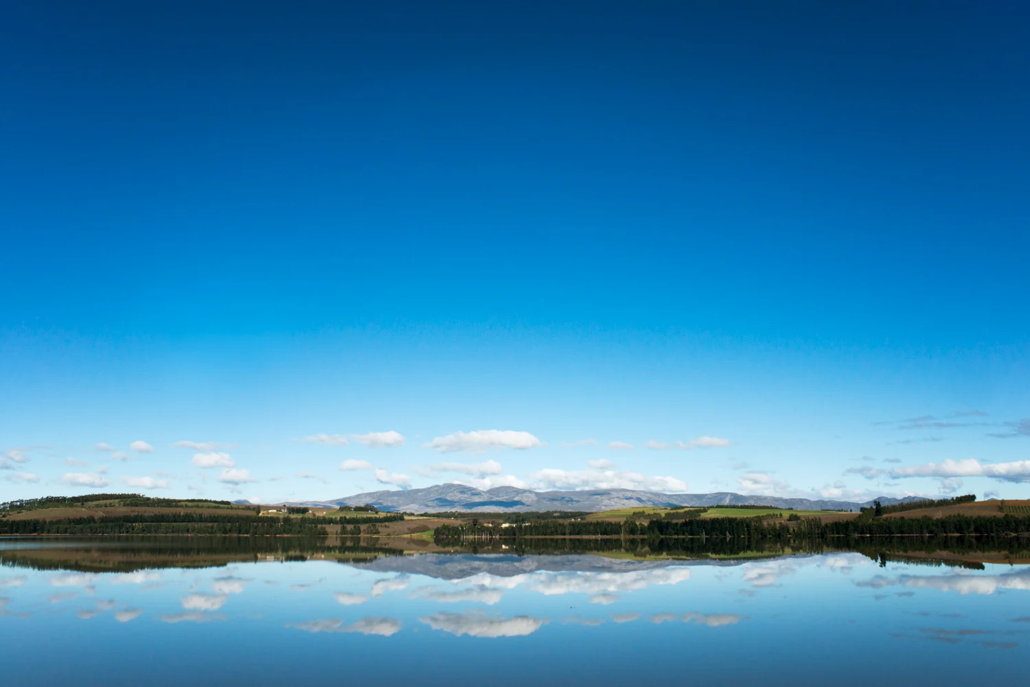 South African Landscape #2912