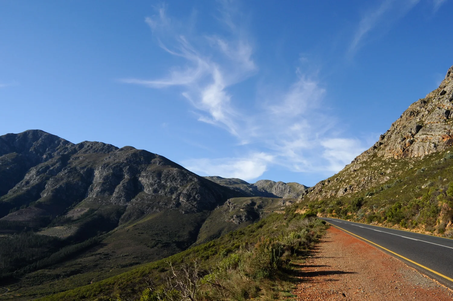 South African Landscape #382