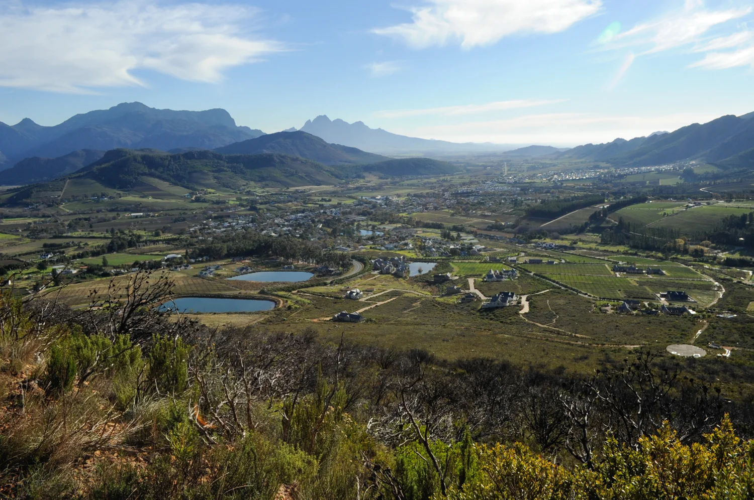 South African Landscape #379