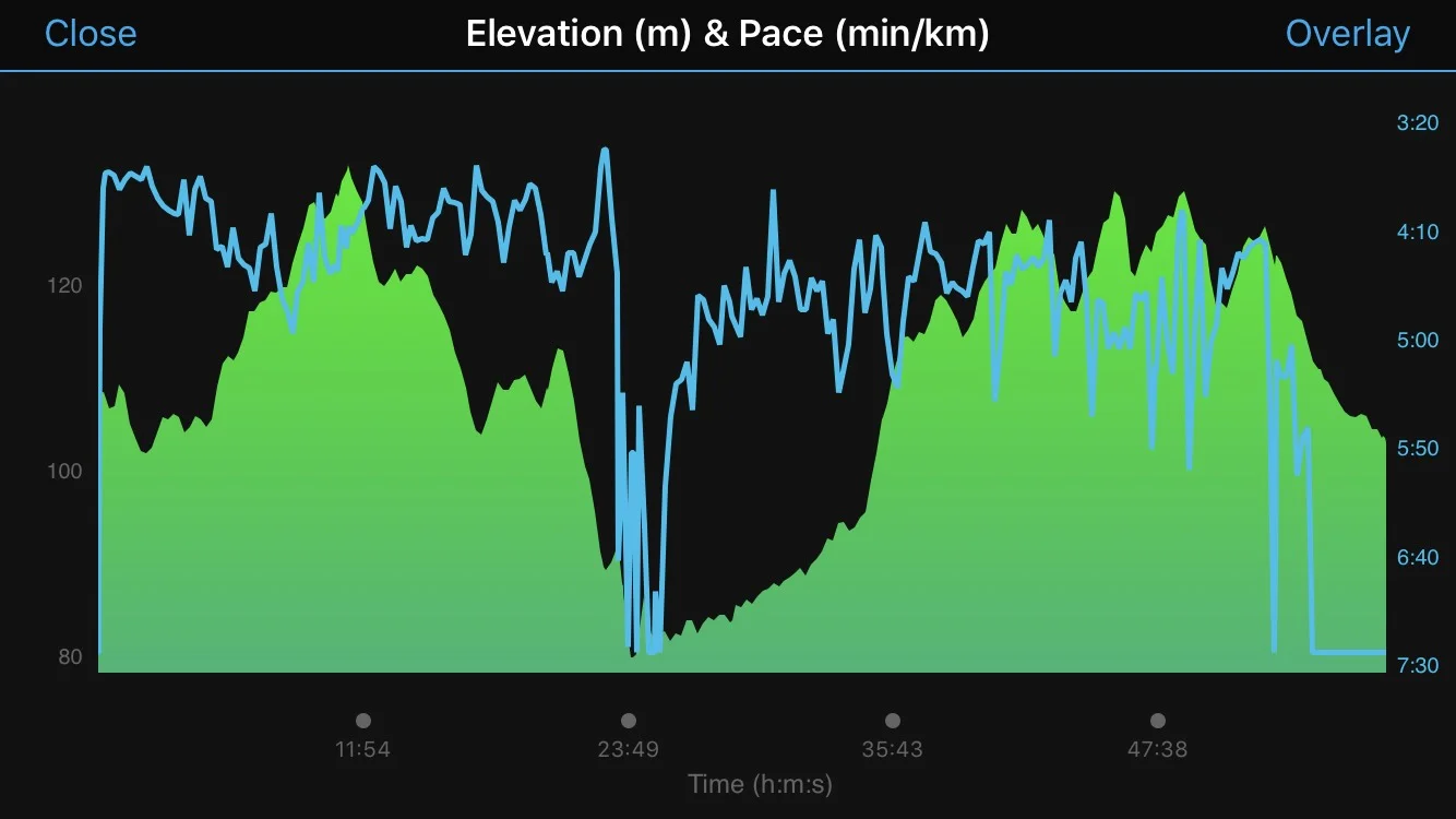 Screenshot taken from Garmin Connect.