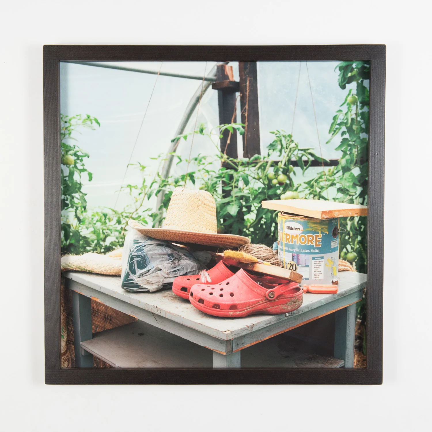 Crocs in the Greenhouse (Framed)