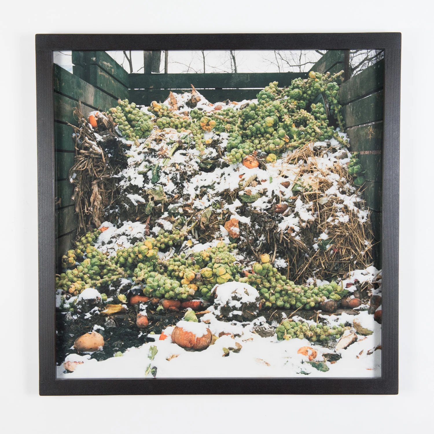Brussel Sprouts (Framed)