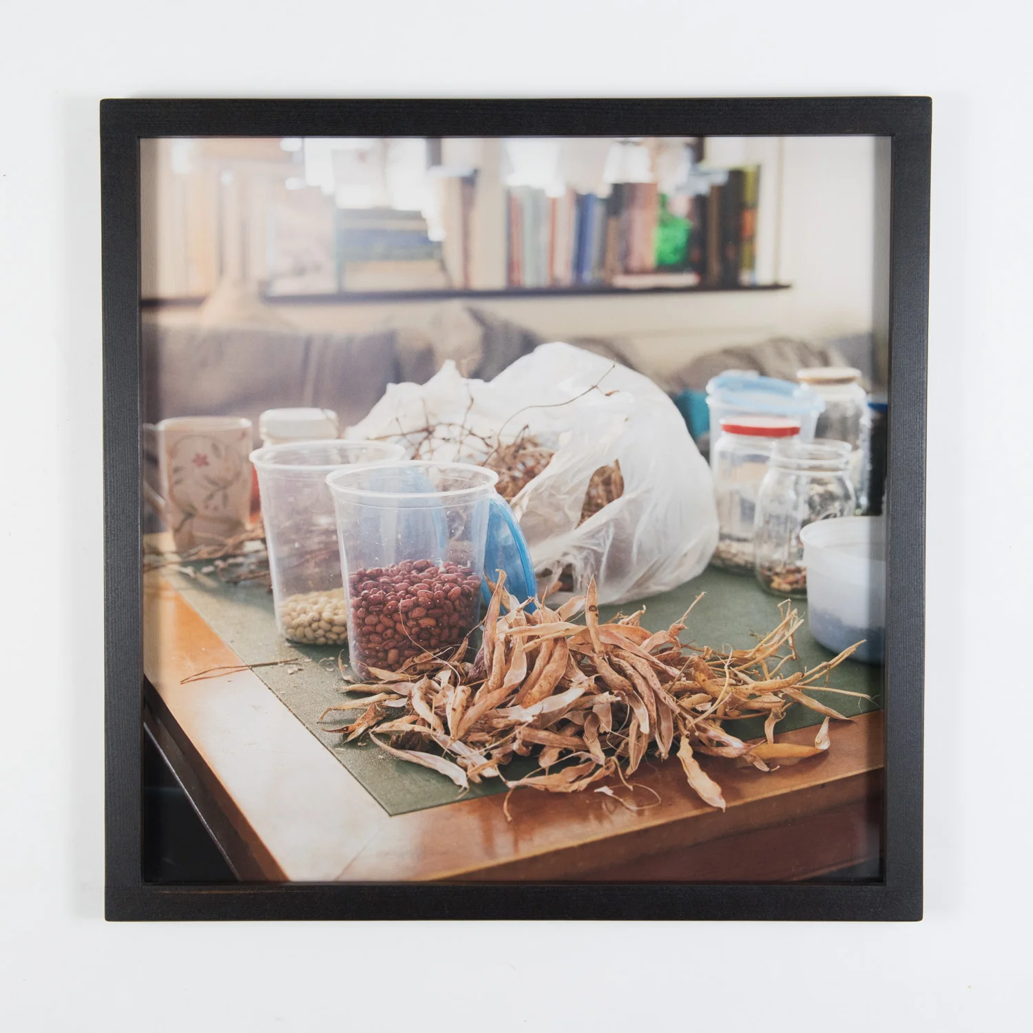 Dried Beans (Framed)