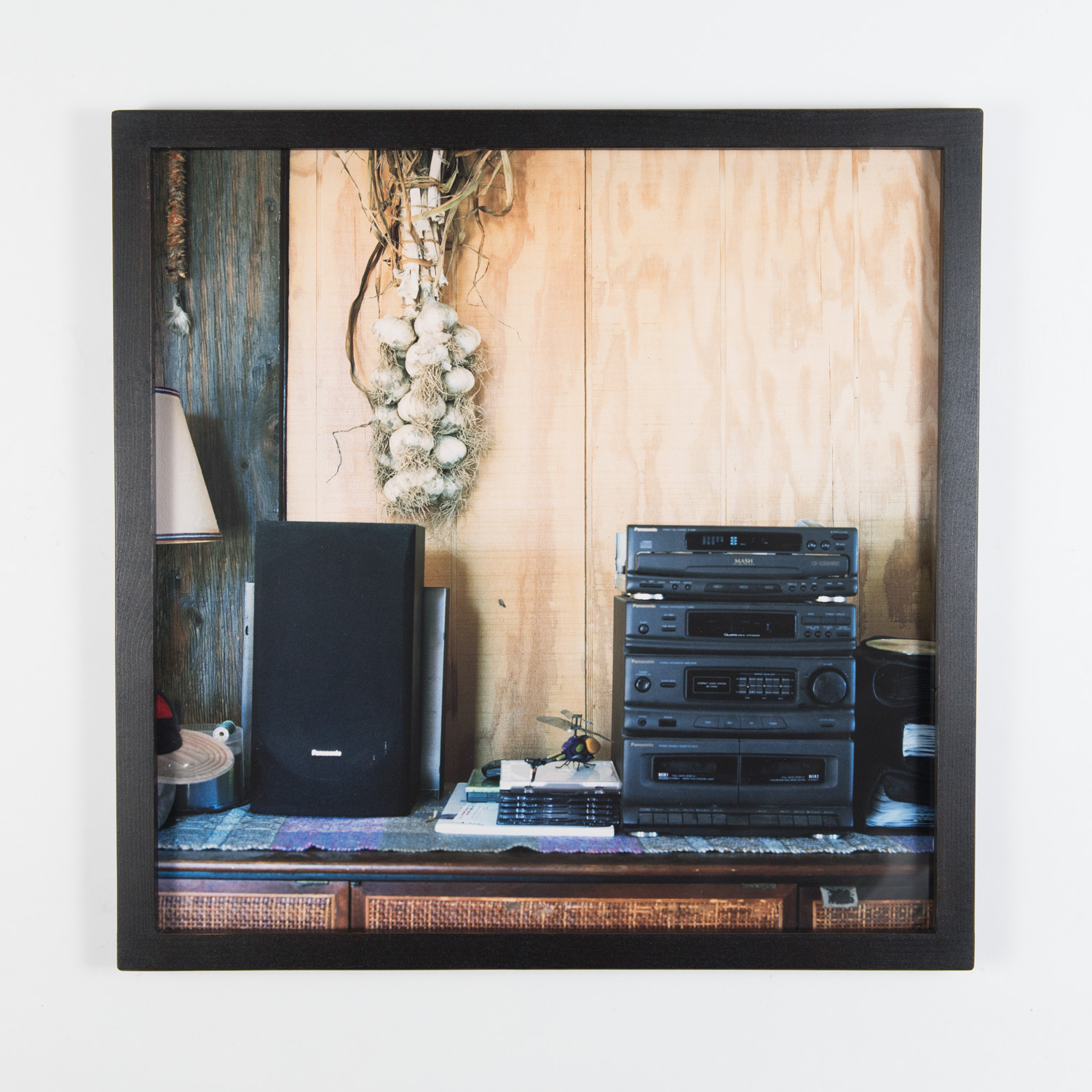 Garlic and Stereo (Framed)