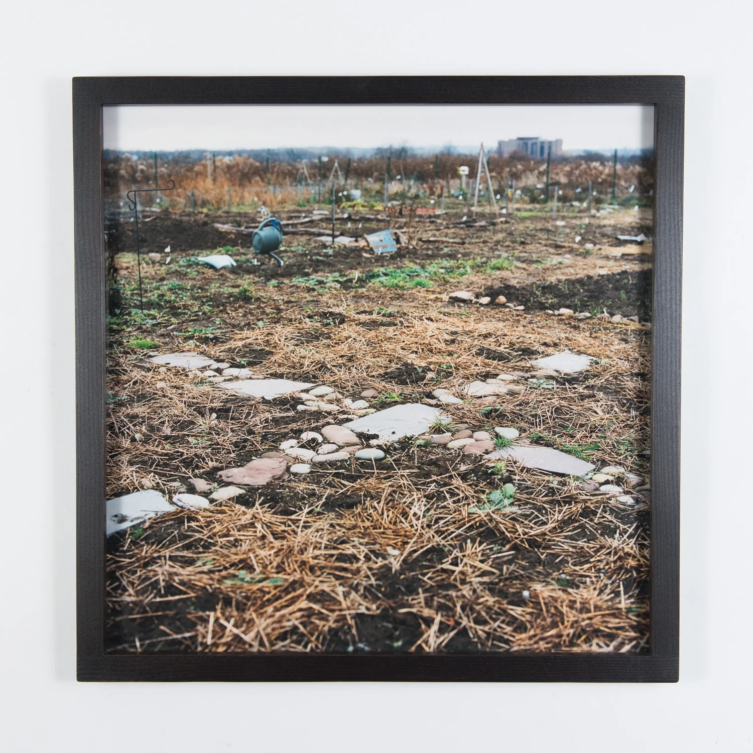 Garden Plots (Framed)