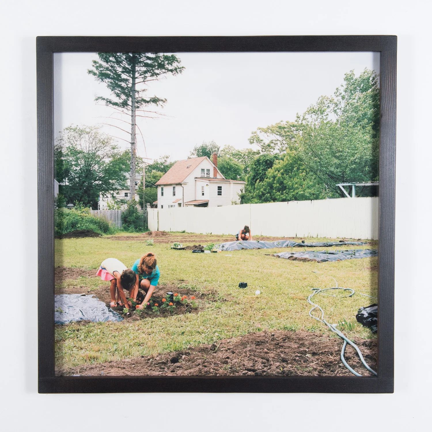 Marketview Heights Community Garden (Framed)