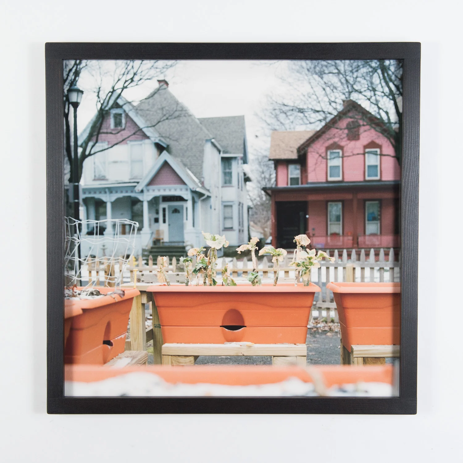 Earth Box (Framed)