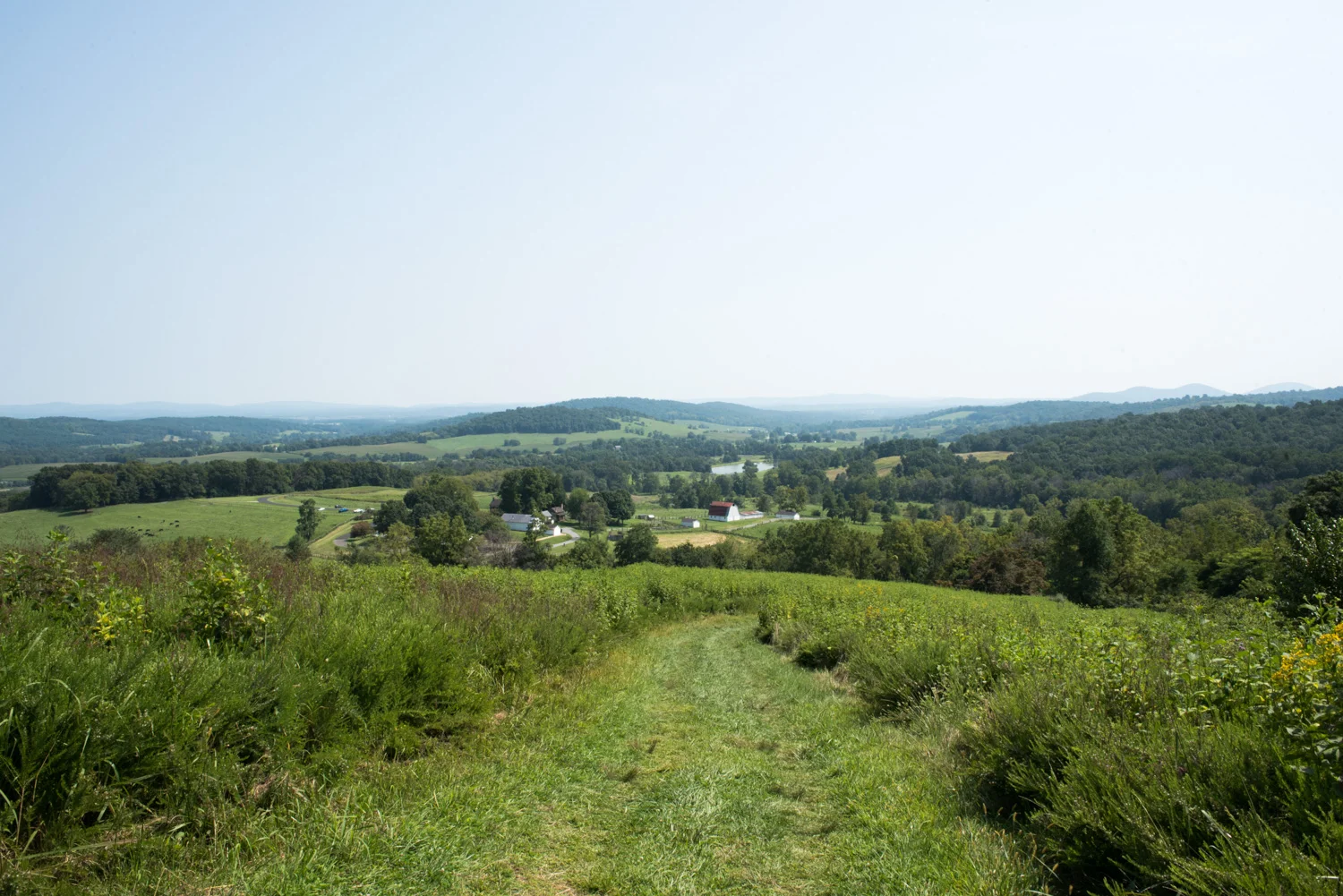 Hiking Sky Meadows