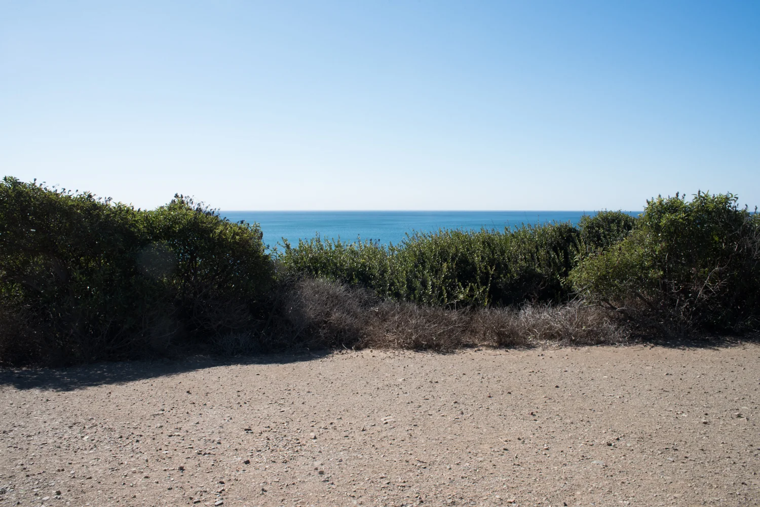 _CBP3280-Edit.jpg