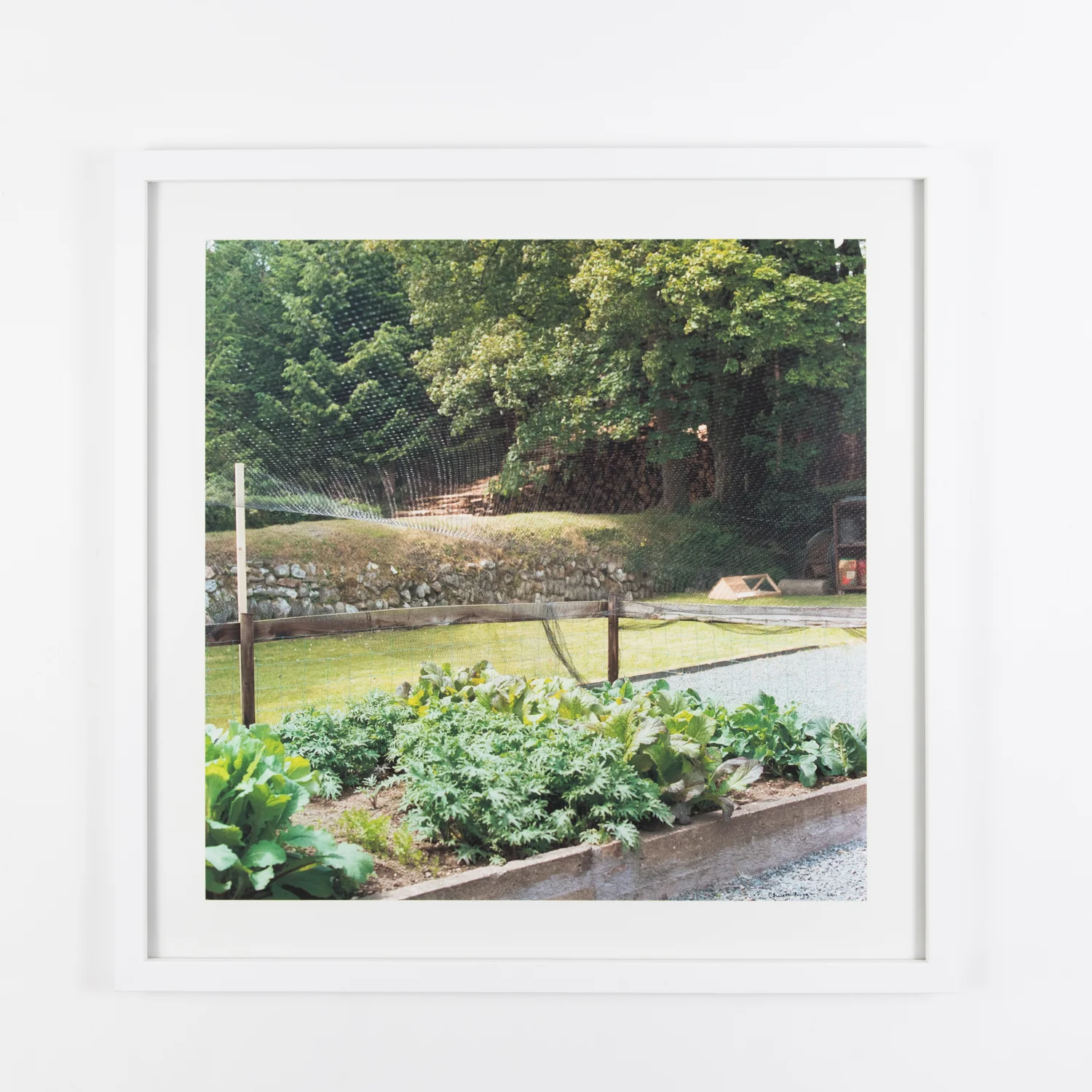 Greens (Framed)