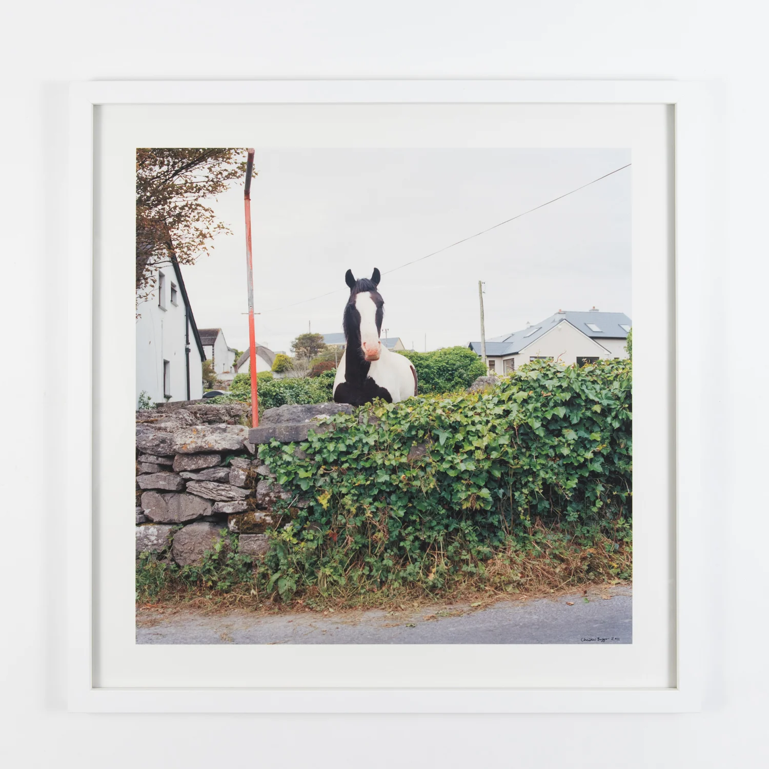 Horse (Framed)