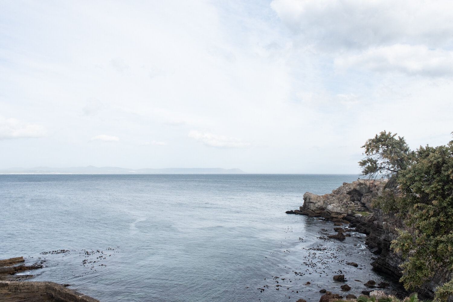 Ocean views in Hermanus