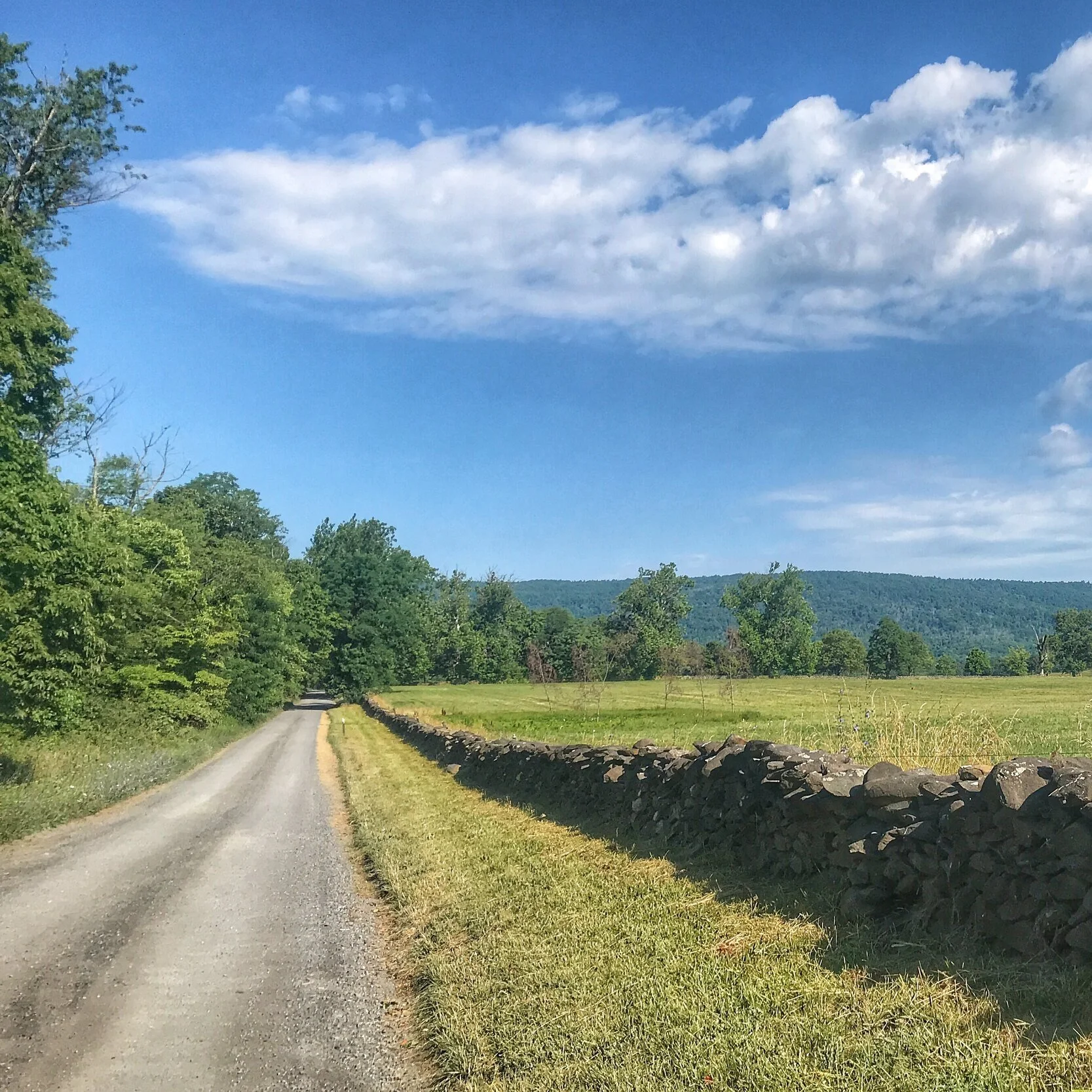 Gravel Ride of the Week: Bluemont Loops