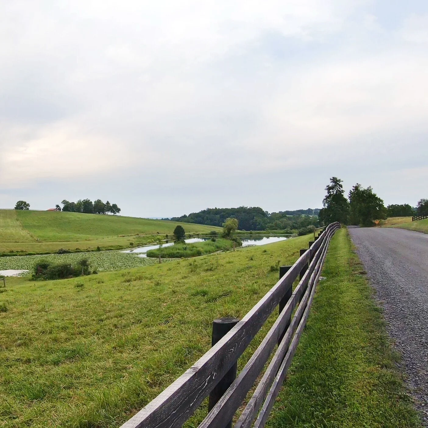 Gravel Ride of the Week: Waterford