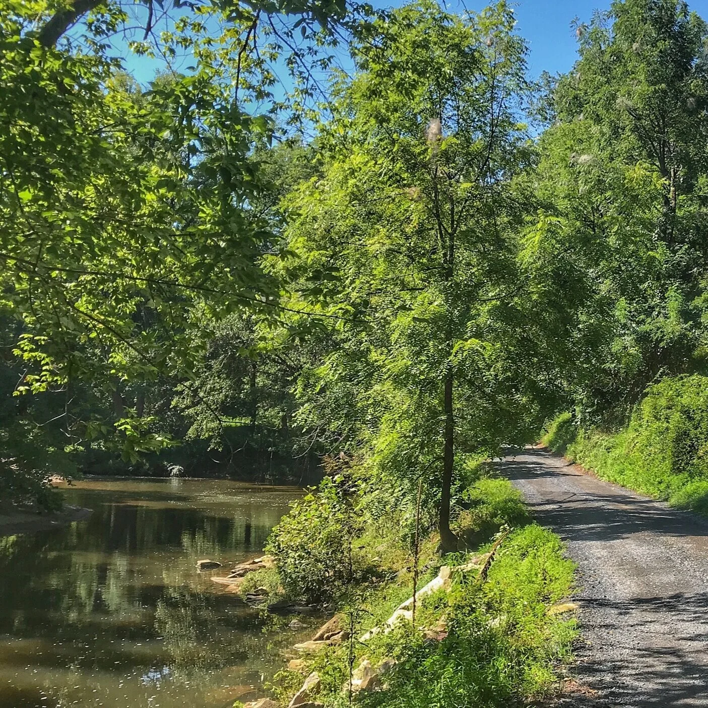 Gravel Ride of the Week: Lovettsville, C&amp;O Canal + Ferry