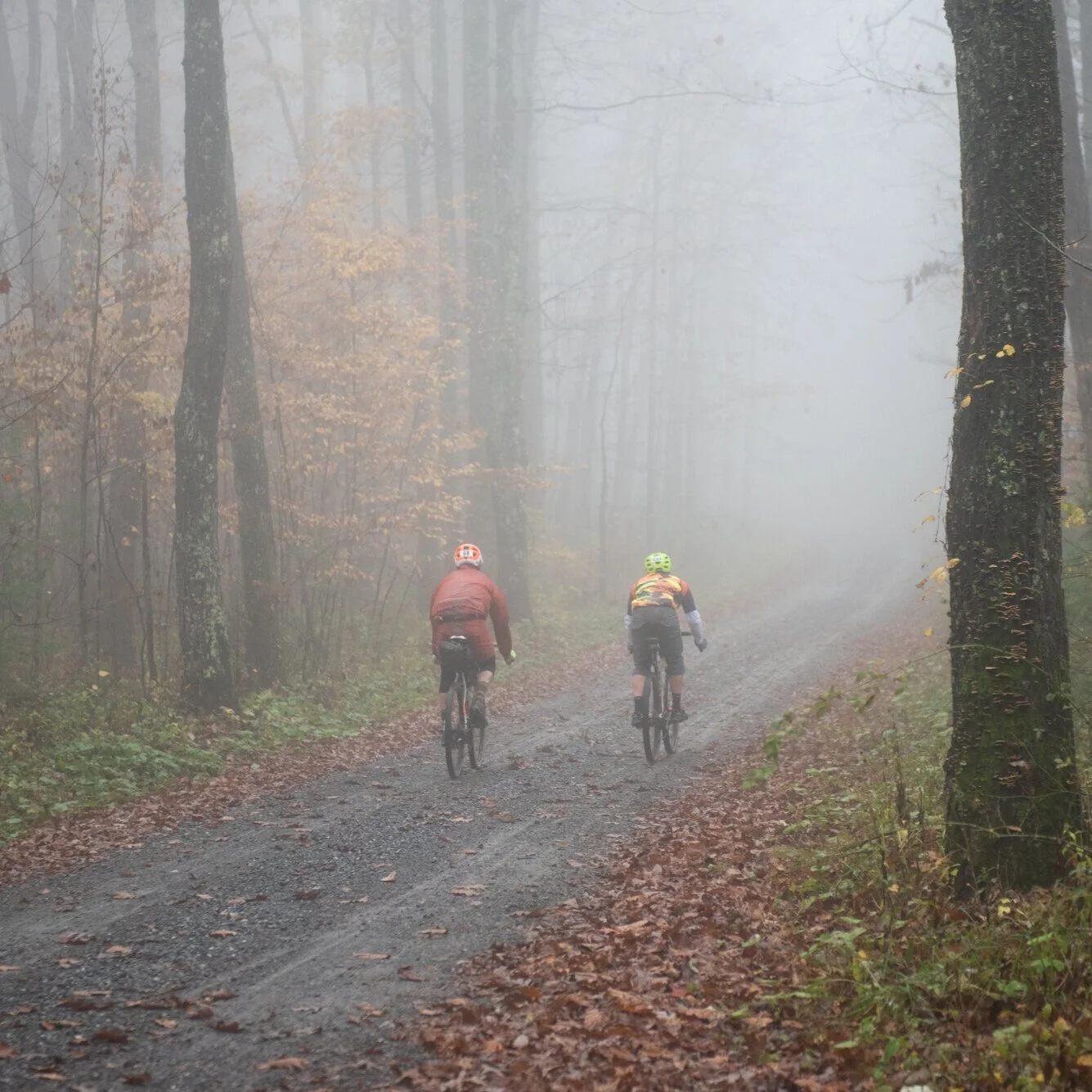 Gravel Ride of the Week: Tour de Dirt 