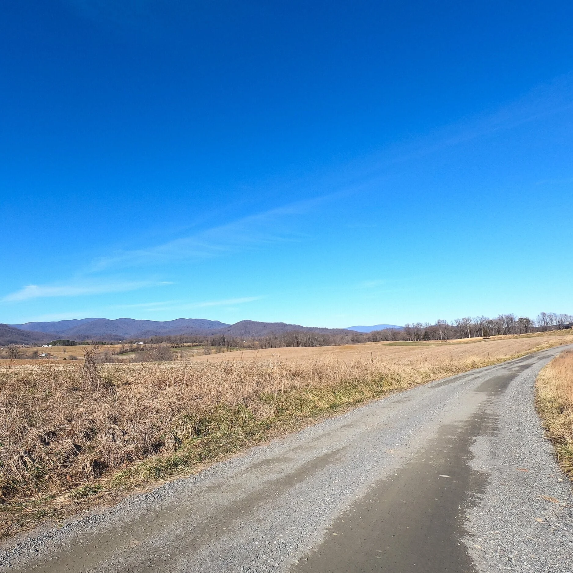 Gravel Ride of the Week: Shenandoah Foothills