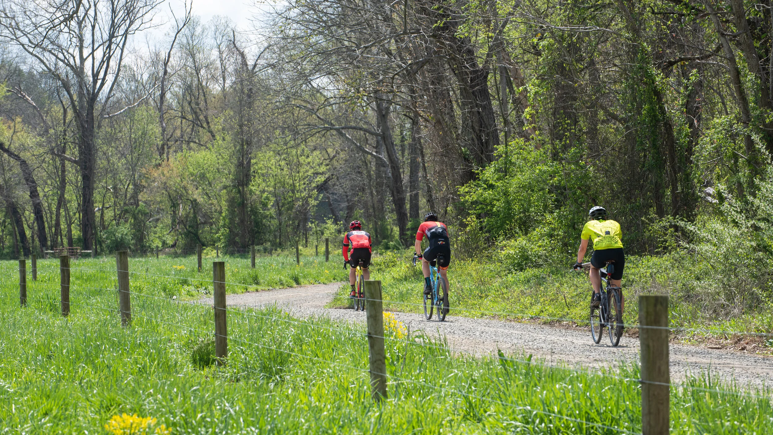 Gravel Ride of the Week: Dirty Kitten Gralley Cat