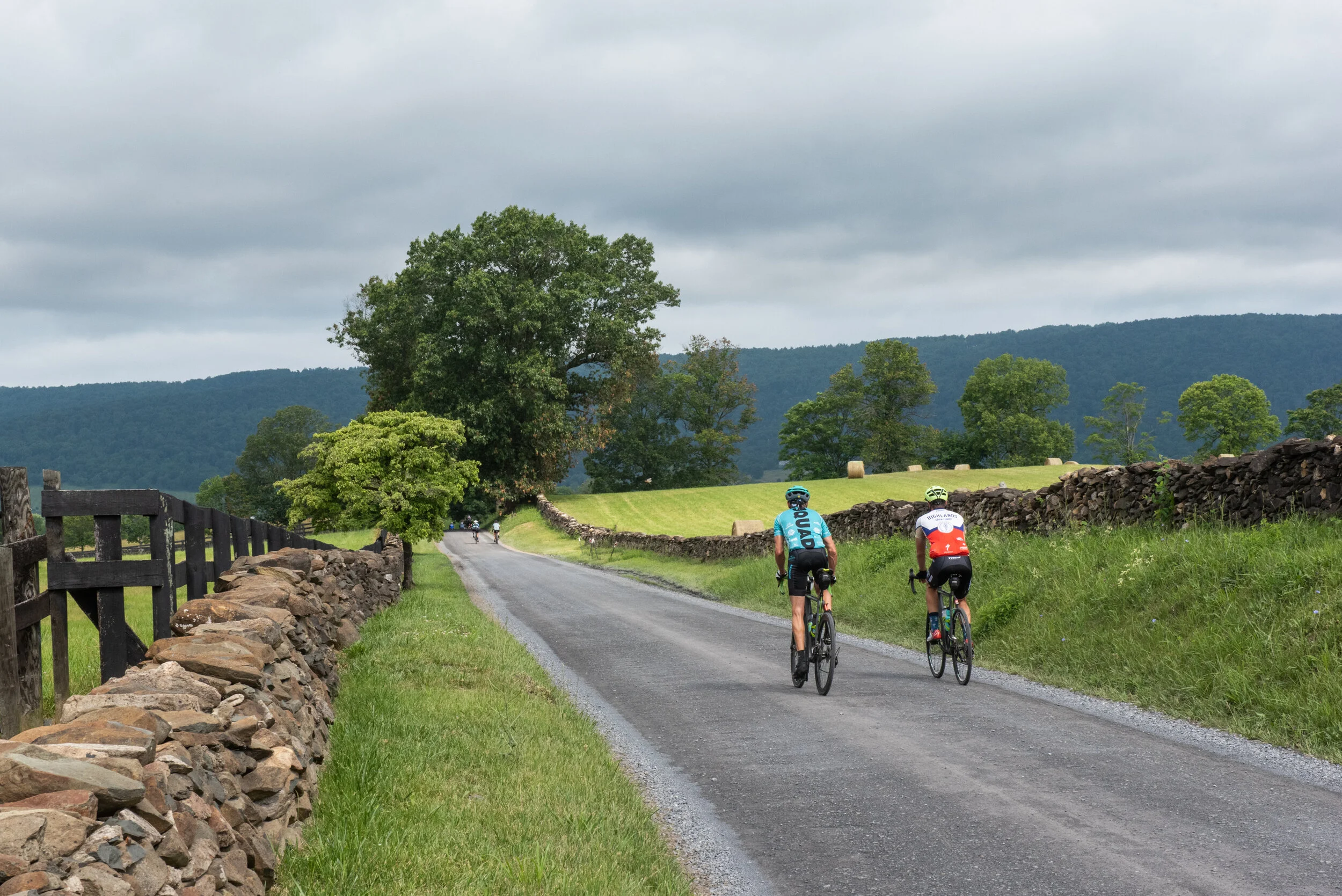Gravel Ride of the Week: Loudoun 1725 Gravel Grinder