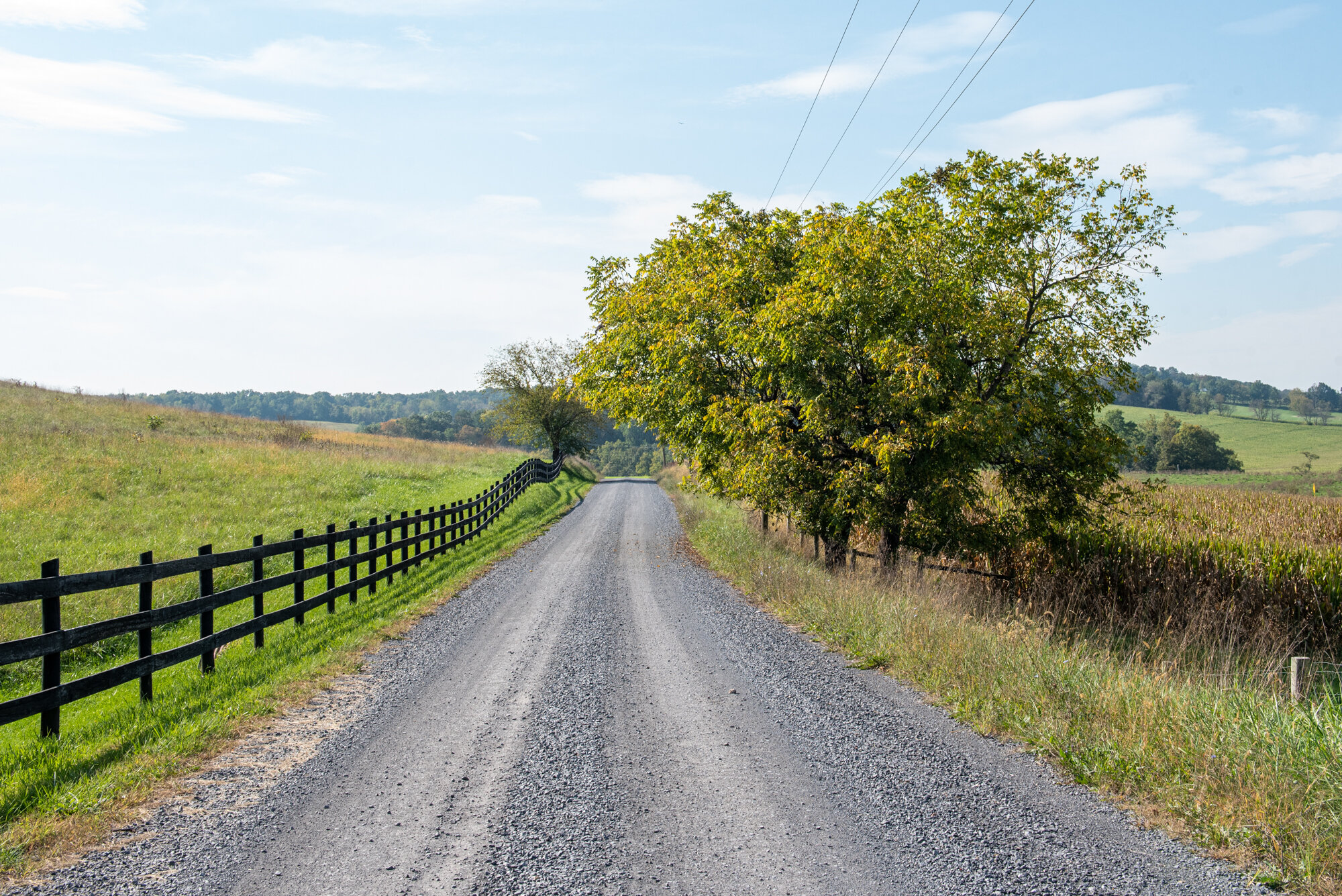 Mountain Road Coahing