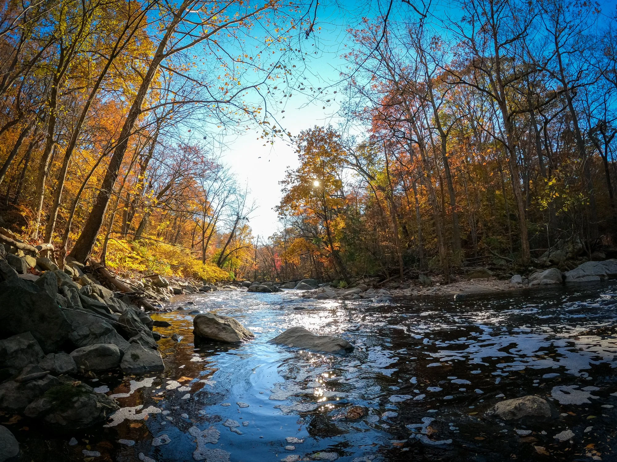 Gravel Ride of the Week: Rock Creek (I Wasn't Prepared For This!)