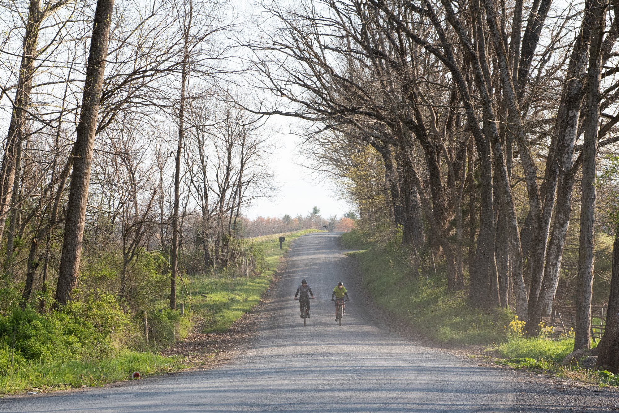 MountainRoadRide-8865.jpg