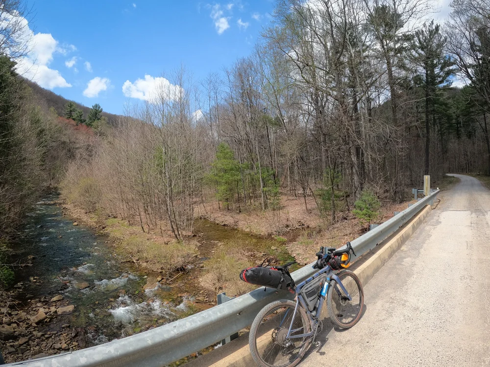 George Washington National Forrest