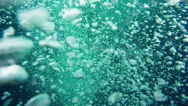 Jeff Koons: One Ball Total Equilibrium Tank