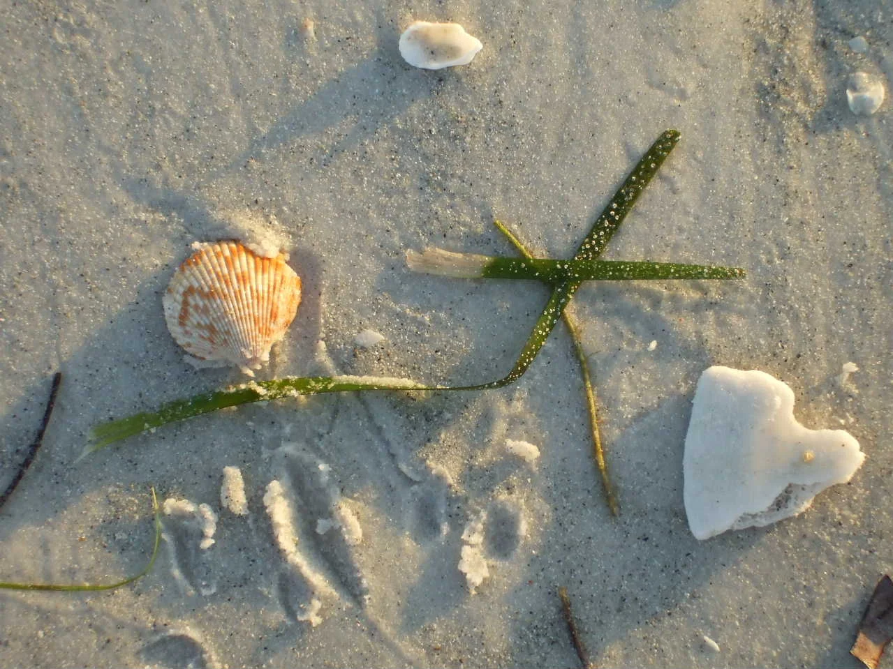 OPEN TO HOPE TV APPEARANCE