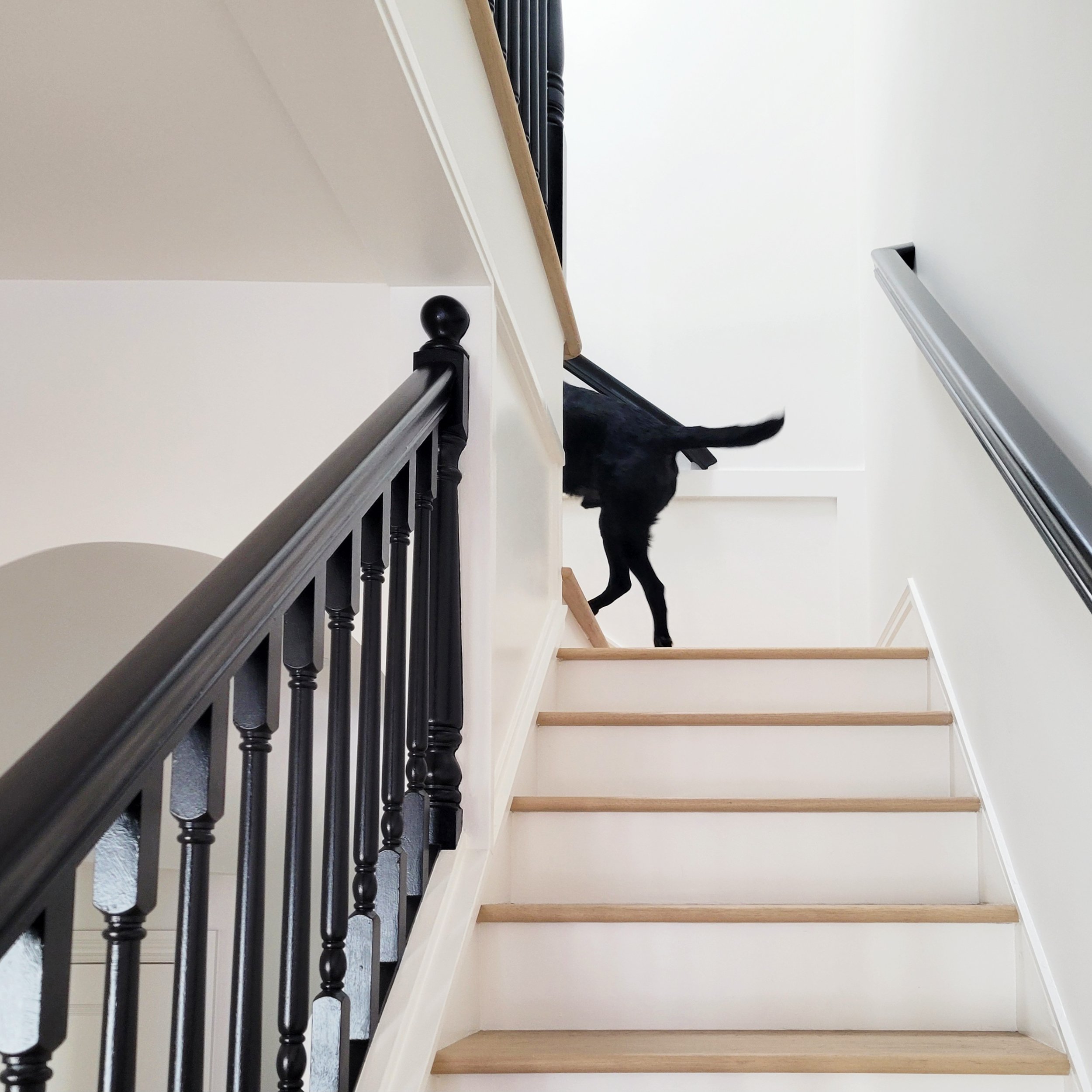 Stairs Jack 1.jpg