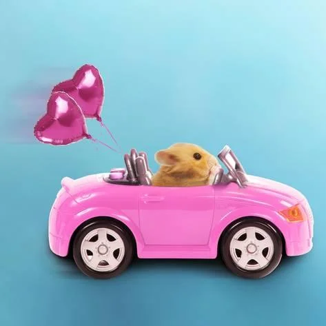 hampster.jpg