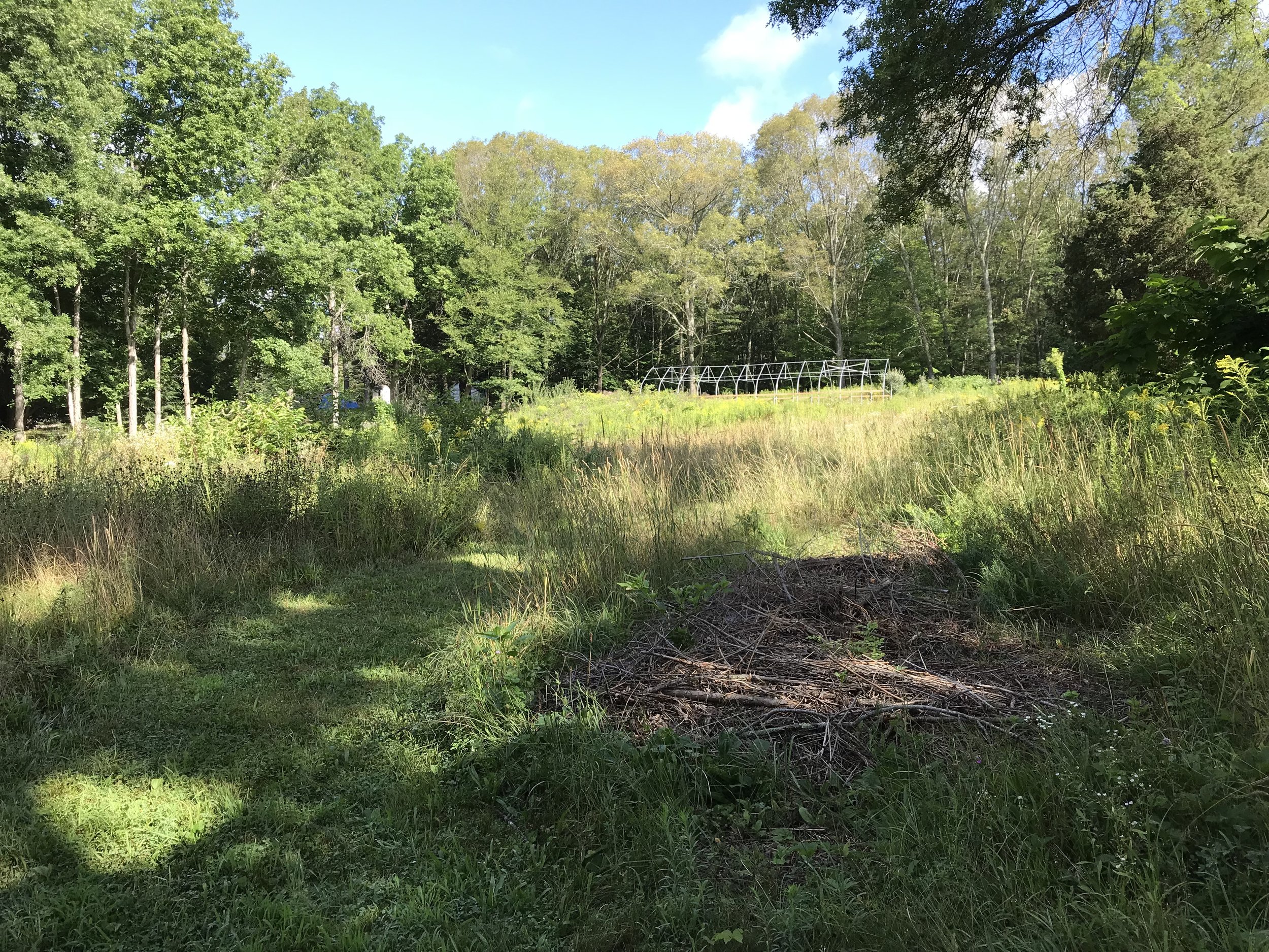 2018 Early Season