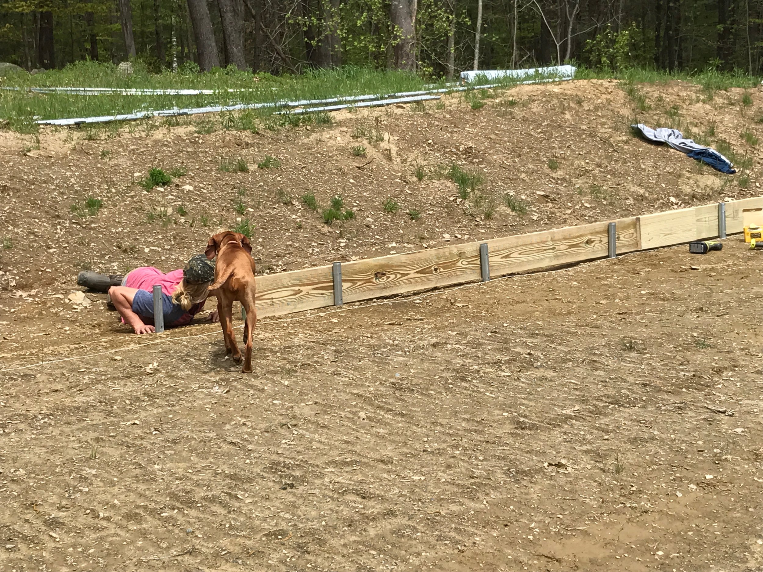 2017 Greenhouse Baseboard Construction