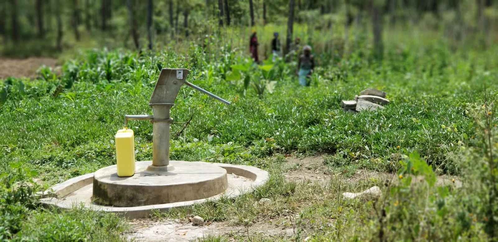 WhatsApp Image 2019-05-04 at 8.47.39 PM.jpeg