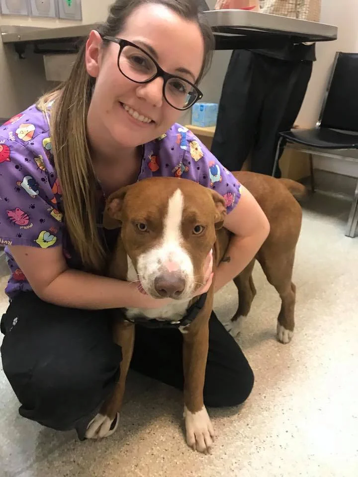 Charming his veterinary nurse at Vista Veterinary Specialists.