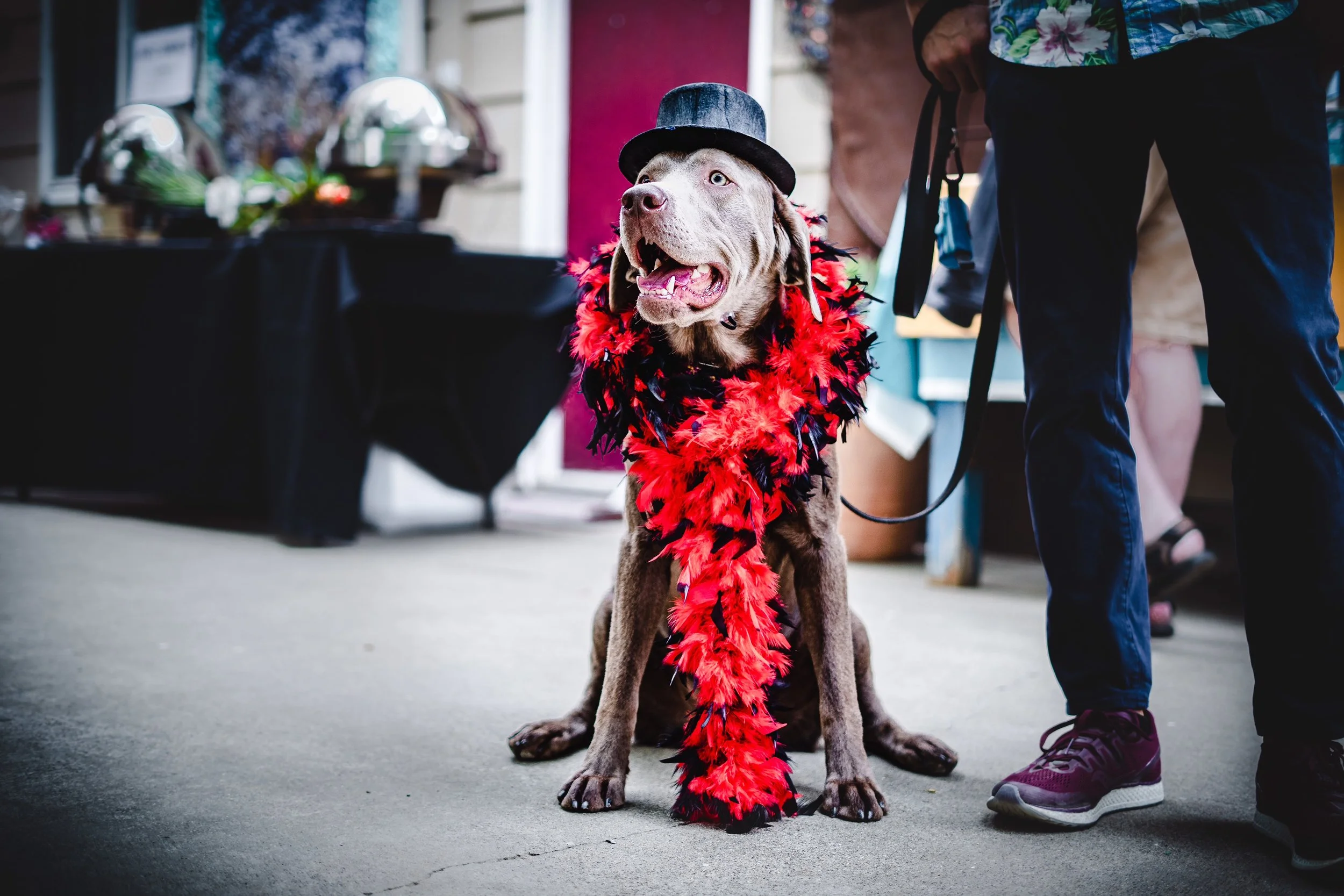 Thanks to you, EmBark 2018 was a smashing success!