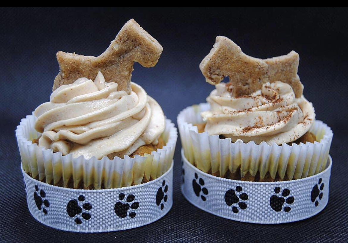 fitcakes.png