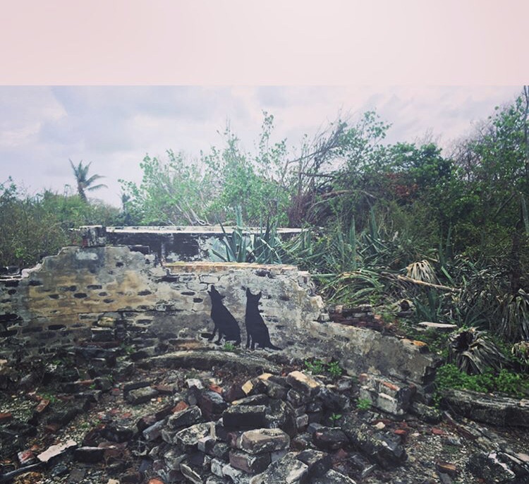 Remains on Indian key