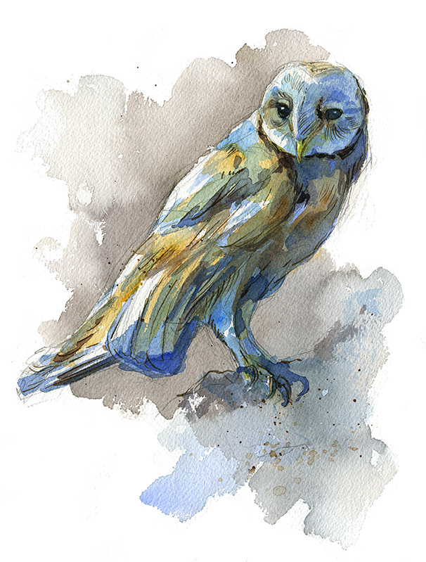 BarnOwl_Catoctin.jpg
