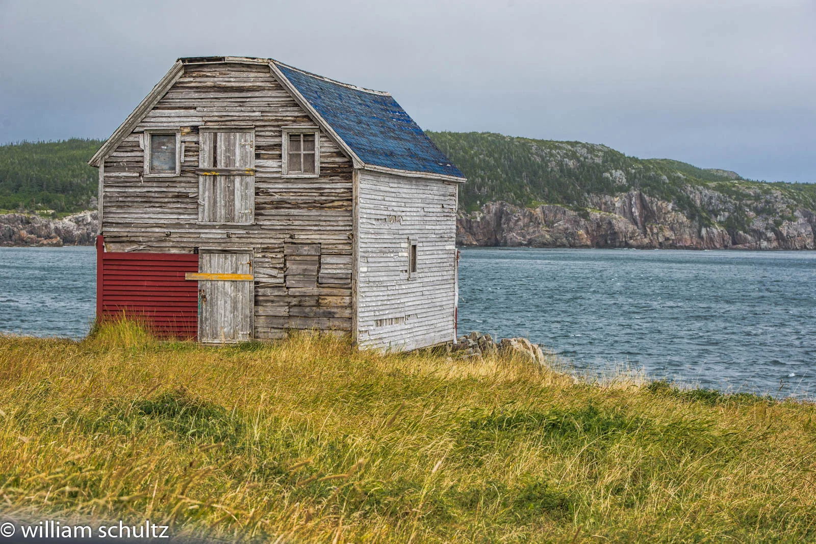 DSC_5315-Edit.JPG