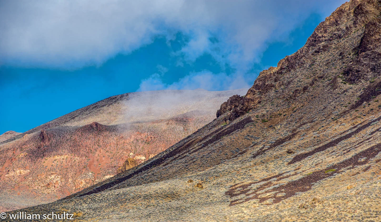 DSC_9876-Edit.JPG